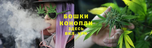 jwh Козельск