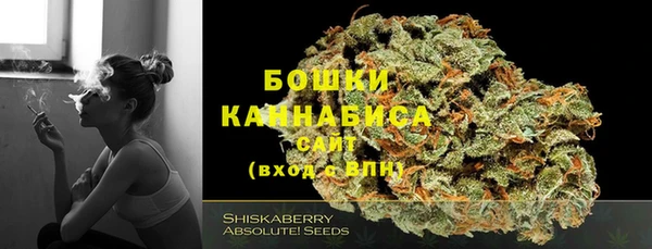 mdpv Кодинск