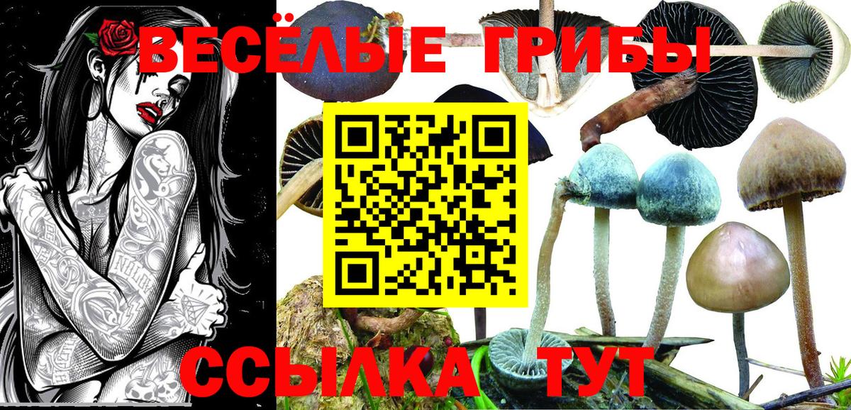 Псилоцибиновые грибы мухоморы  Вход с VPN  Тихвин 