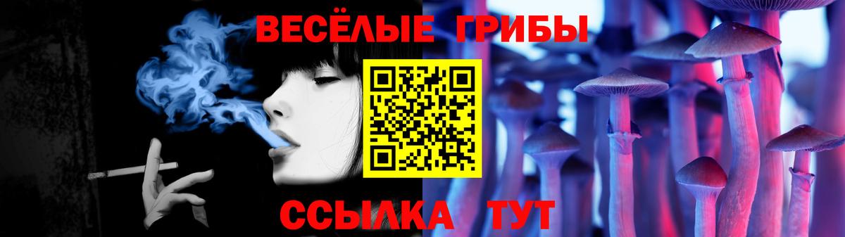 Галлюциногенные грибы MAGIC MUSHROOMS Тихвин